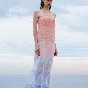 Dion Lee gradiated color sheer column dress